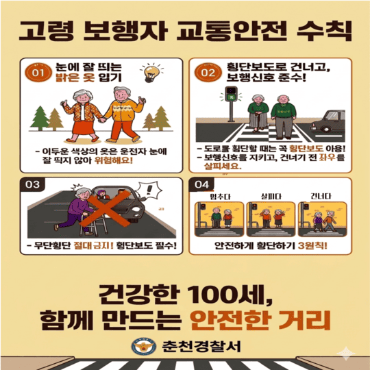 고령 보행자 교통안전 수칙 안내 포스터