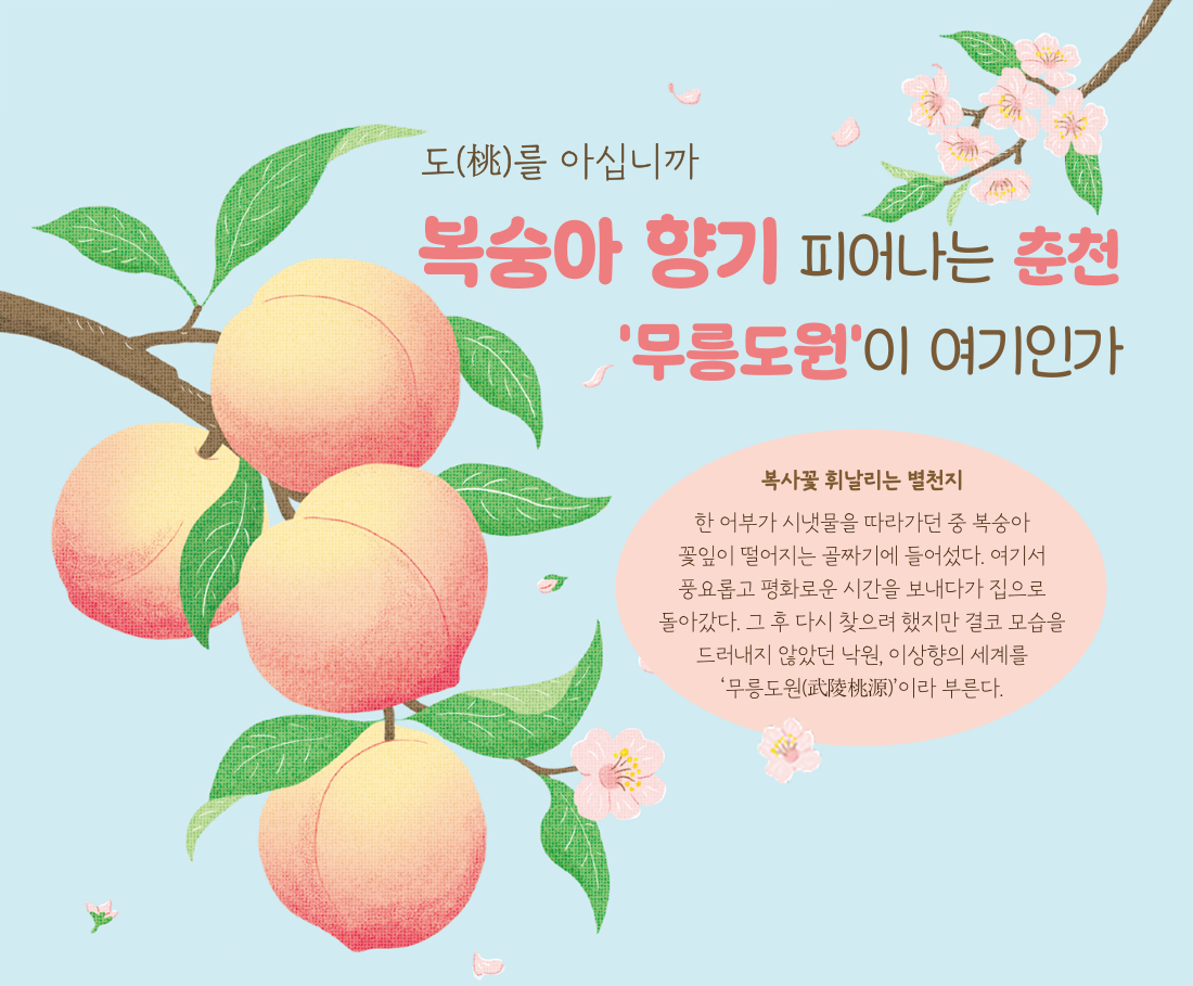 춘천 소양강 복숭아