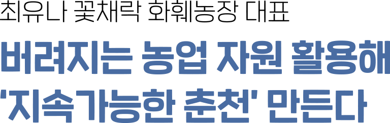상단 타이틀