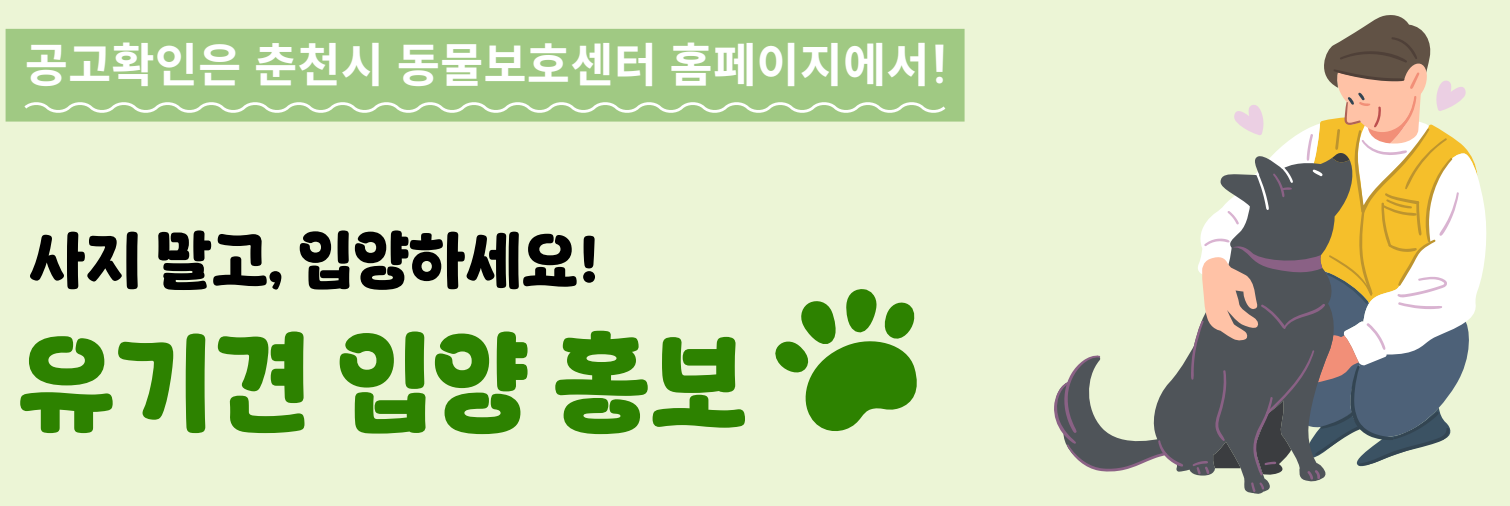 강아지 사진 영역