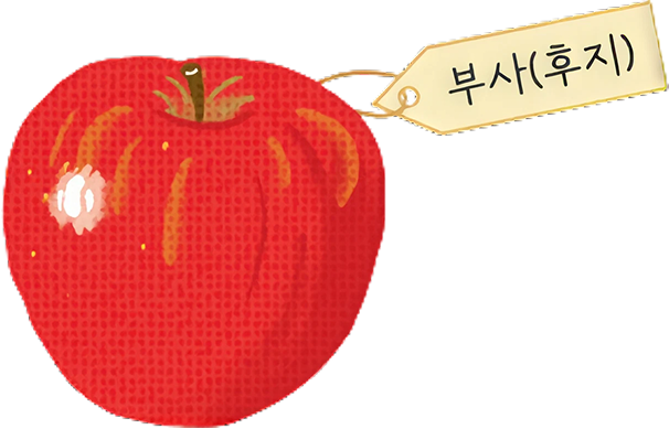 부사(후지)